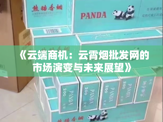 《云端商机：云霄烟批发网的市场演变与未来展望》