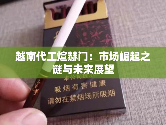 越南代工煊赫门：市场崛起之谜与未来展望