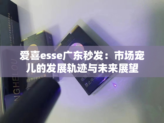 爱喜esse广东秒发：市场宠儿的发展轨迹与未来展望