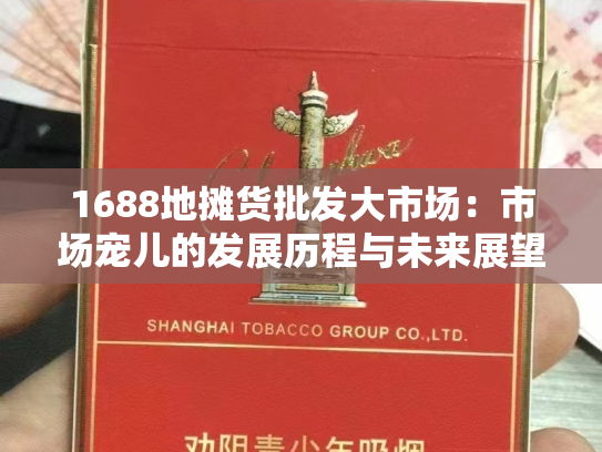 1688地摊货批发大市场：市场宠儿的发展历程与未来展望