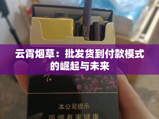 云霄烟草：批发货到付款模式的崛起与未来